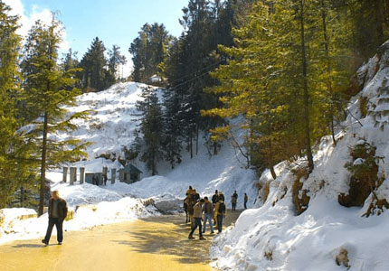 Amritsar to Shimla Manali Tour