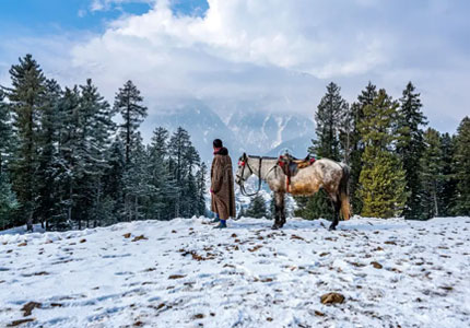 Jammu-Srinagar-Sonmarg-Pahalgam-Gulmarg Tour