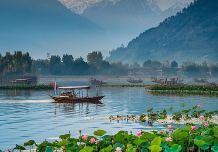 Srinagar Tour
