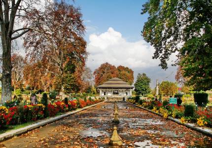 Srinagar Tour